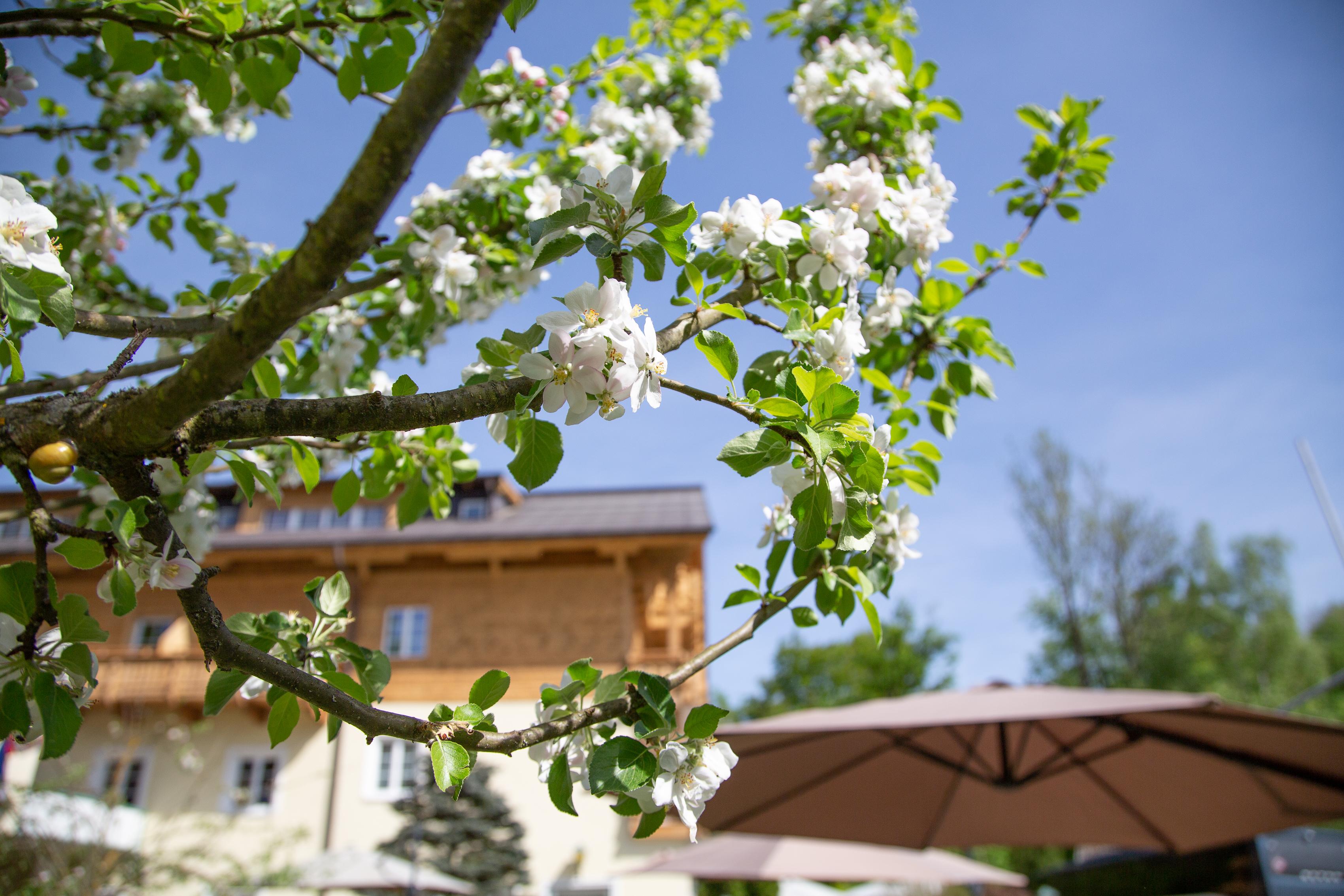 Hotel Foersterhof Lebe Pur, Geniesse Den Tag Sankt Wolfgang im Salzkammergut Exterior photo